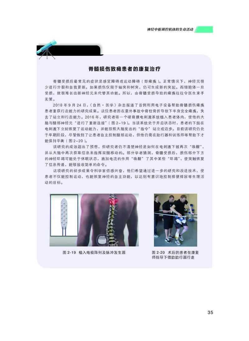 普通高中教科书生物学选择性必修1稳态与调节_高中三年全科资料_高中_高中电子教材_高中生物学_沪科技版