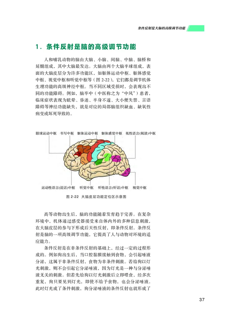 普通高中教科书生物学选择性必修1稳态与调节_高中三年全科资料_高中_高中电子教材_高中生物学_沪科技版