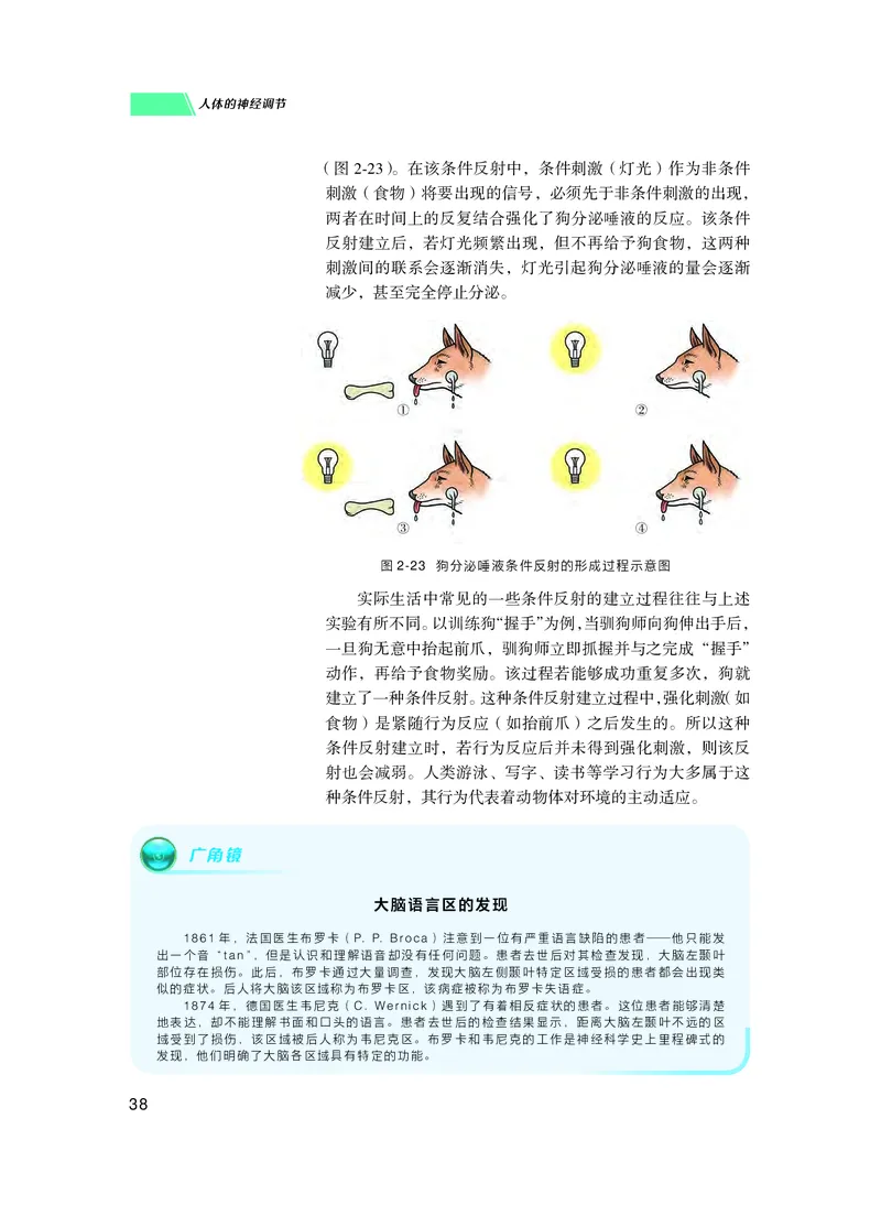 普通高中教科书生物学选择性必修1稳态与调节_高中三年全科资料_高中_高中电子教材_高中生物学_沪科技版