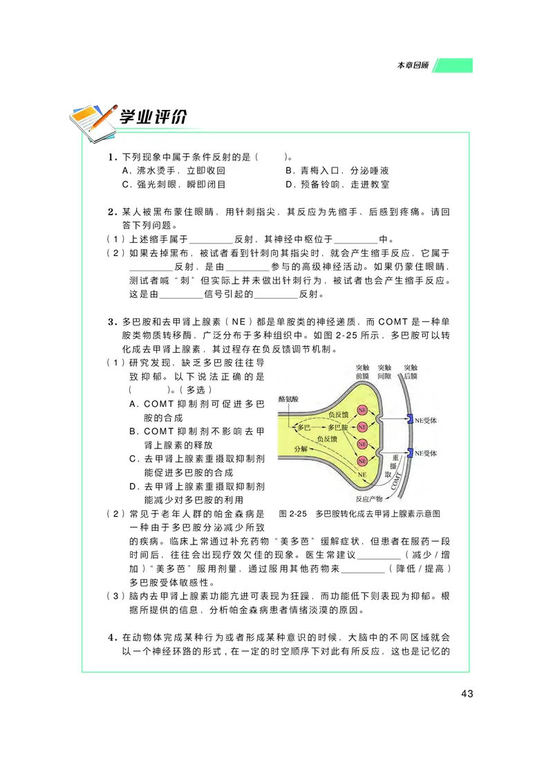 普通高中教科书生物学选择性必修1稳态与调节_高中三年全科资料_高中_高中电子教材_高中生物学_沪科技版