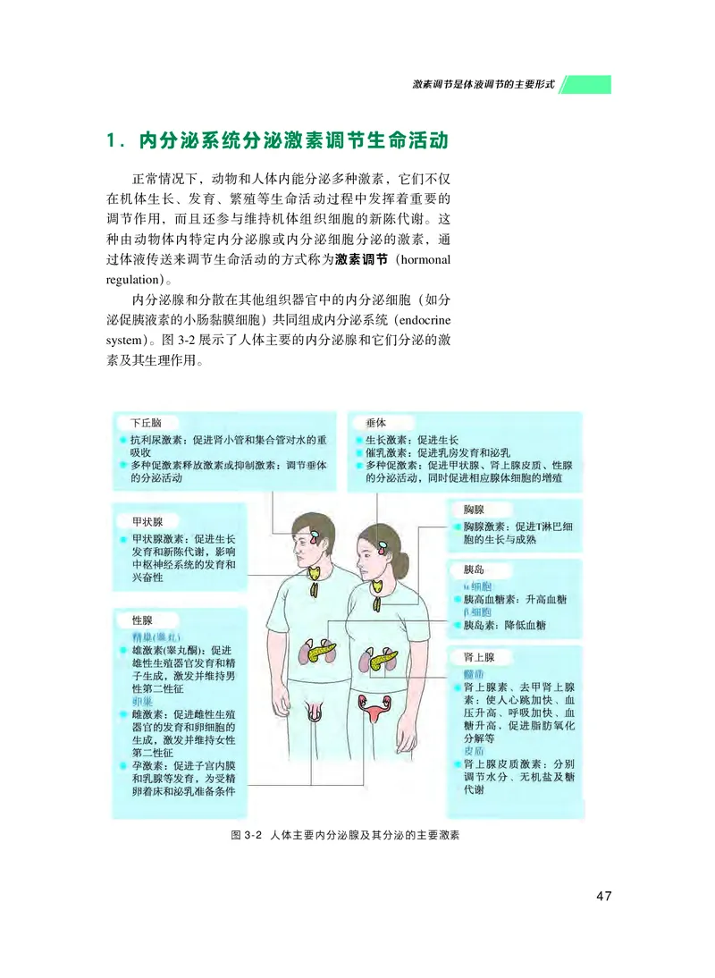 普通高中教科书生物学选择性必修1稳态与调节_高中三年全科资料_高中_高中电子教材_高中生物学_沪科技版