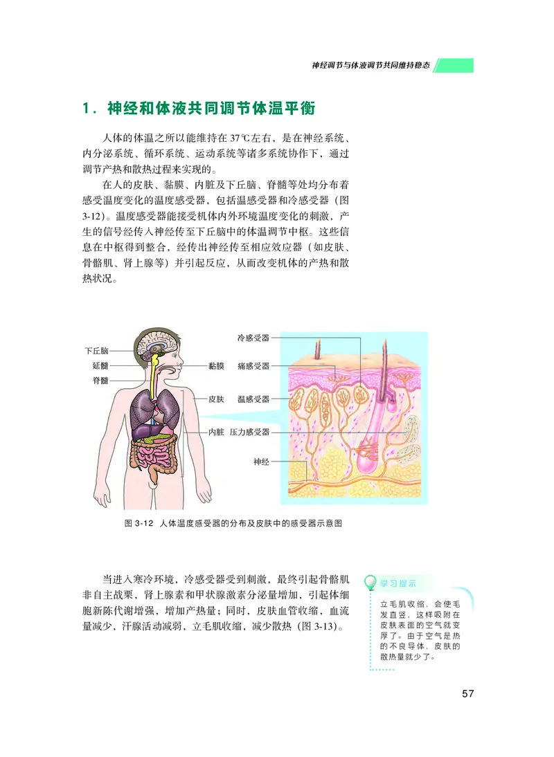 普通高中教科书生物学选择性必修1稳态与调节_高中三年全科资料_高中_高中电子教材_高中生物学_沪科技版