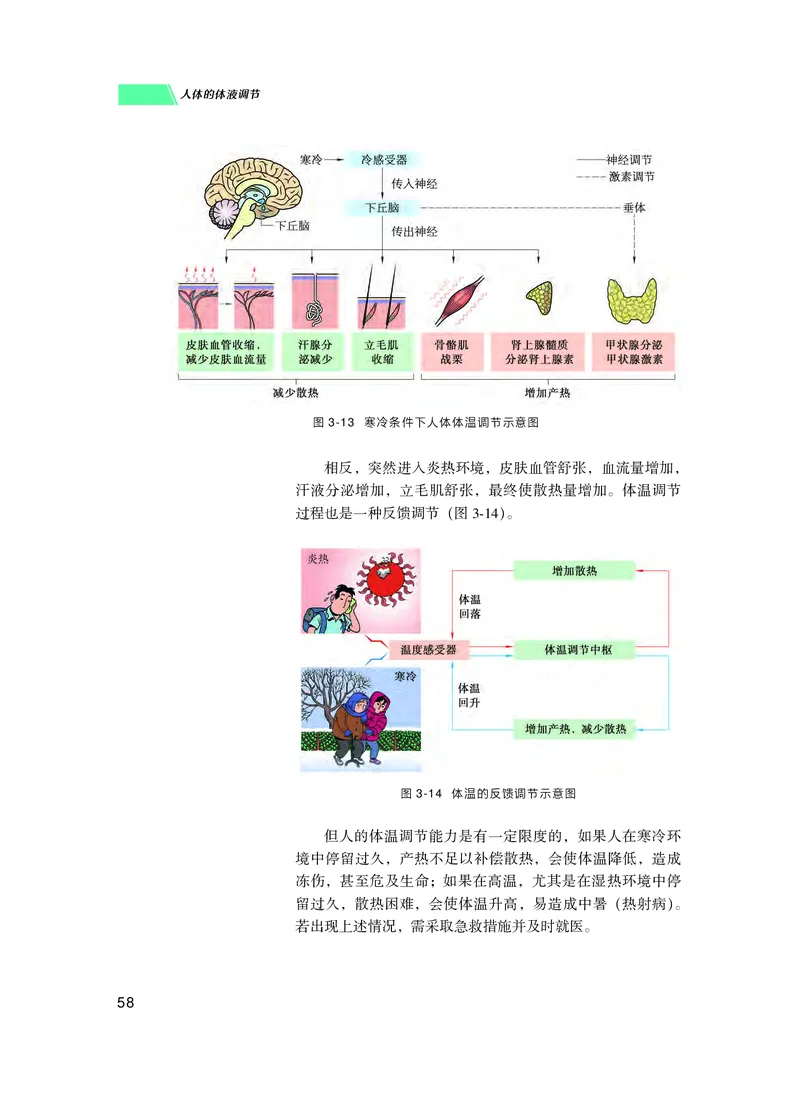 普通高中教科书生物学选择性必修1稳态与调节_高中三年全科资料_高中_高中电子教材_高中生物学_沪科技版