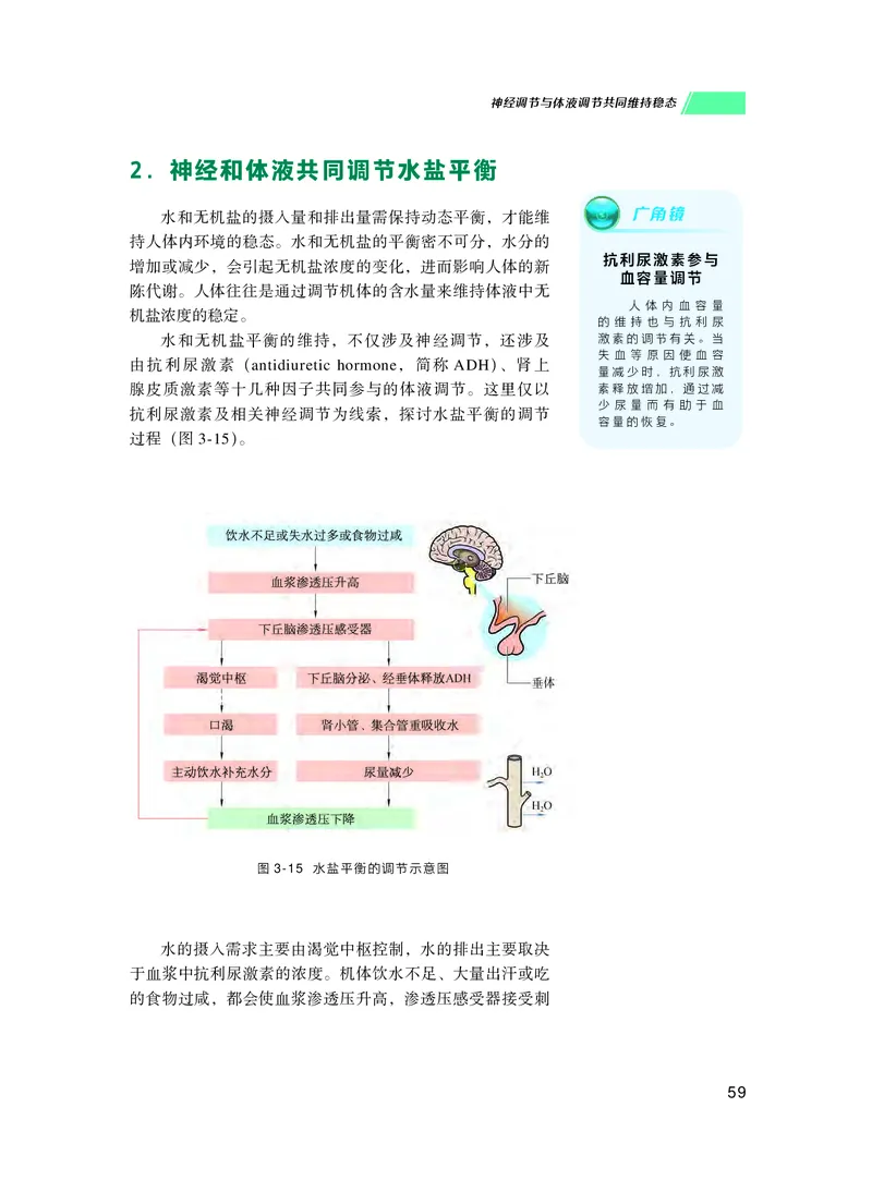 普通高中教科书生物学选择性必修1稳态与调节_高中三年全科资料_高中_高中电子教材_高中生物学_沪科技版