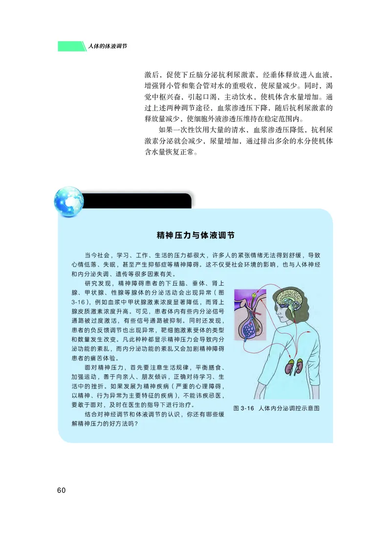 普通高中教科书生物学选择性必修1稳态与调节_高中三年全科资料_高中_高中电子教材_高中生物学_沪科技版