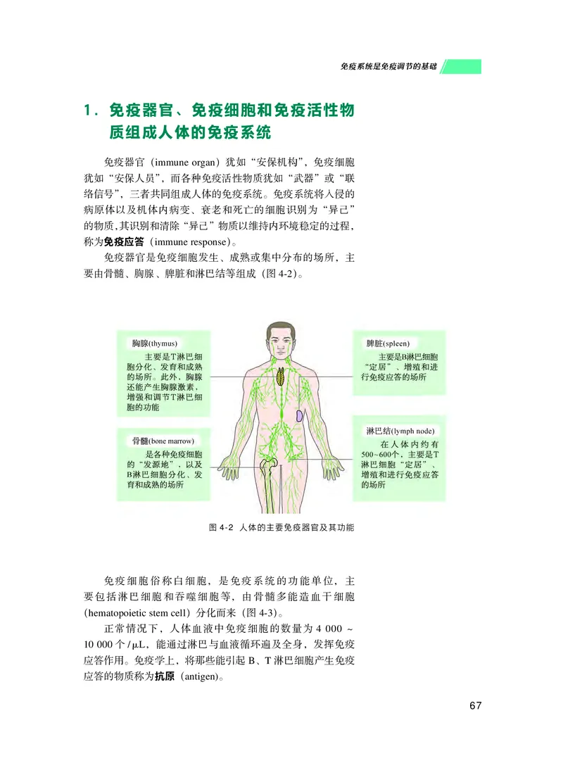 普通高中教科书生物学选择性必修1稳态与调节_高中三年全科资料_高中_高中电子教材_高中生物学_沪科技版