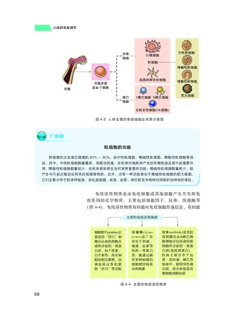 普通高中教科书生物学选择性必修1稳态与调节_高中三年全科资料_高中_高中电子教材_高中生物学_沪科技版