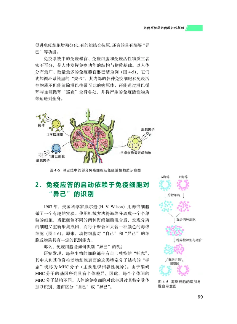 普通高中教科书生物学选择性必修1稳态与调节_高中三年全科资料_高中_高中电子教材_高中生物学_沪科技版