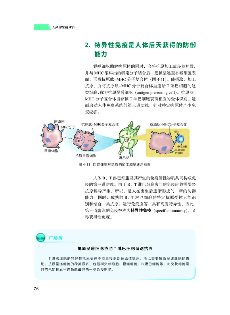 普通高中教科书生物学选择性必修1稳态与调节_高中三年全科资料_高中_高中电子教材_高中生物学_沪科技版