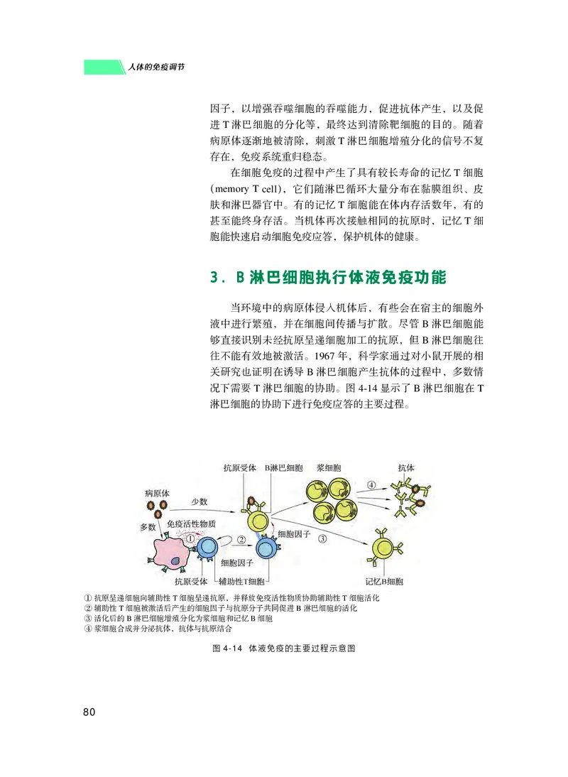 普通高中教科书生物学选择性必修1稳态与调节_高中三年全科资料_高中_高中电子教材_高中生物学_沪科技版