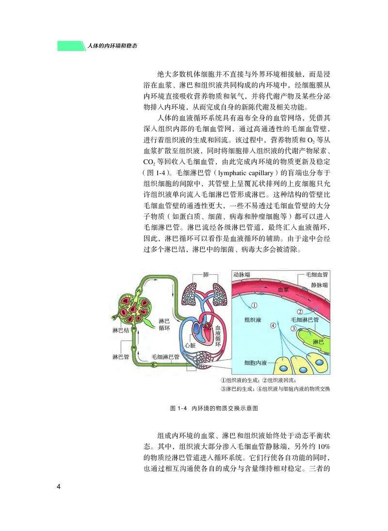 普通高中教科书生物学选择性必修1稳态与调节_高中三年全科资料_高中_高中电子教材_高中生物学_沪科技版