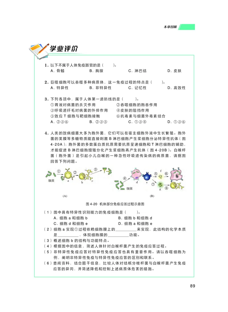 普通高中教科书生物学选择性必修1稳态与调节_高中三年全科资料_高中_高中电子教材_高中生物学_沪科技版