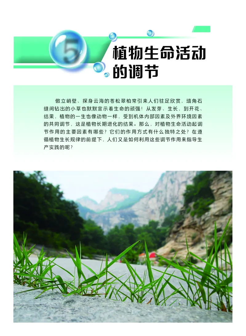 普通高中教科书生物学选择性必修1稳态与调节_高中三年全科资料_高中_高中电子教材_高中生物学_沪科技版