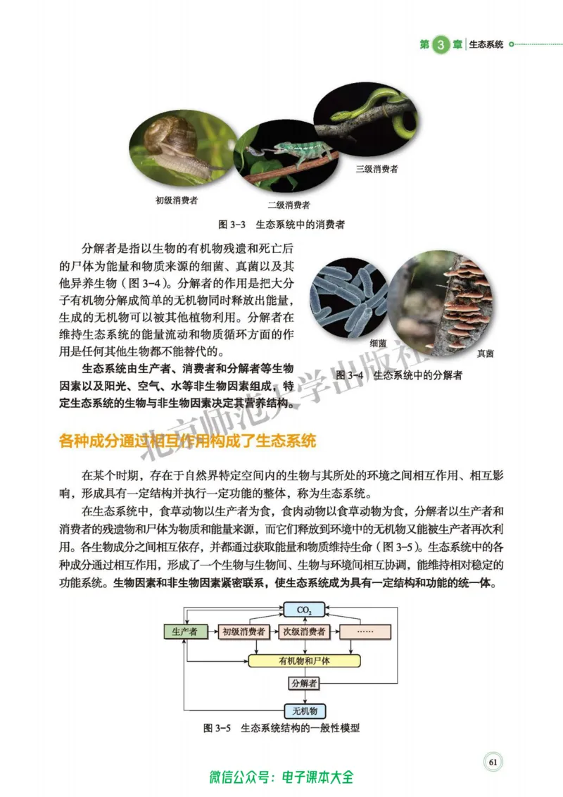 生物学选择性必修2生物与环境_高中三年全科资料_高中_高中电子教材_高中生物学_北师大