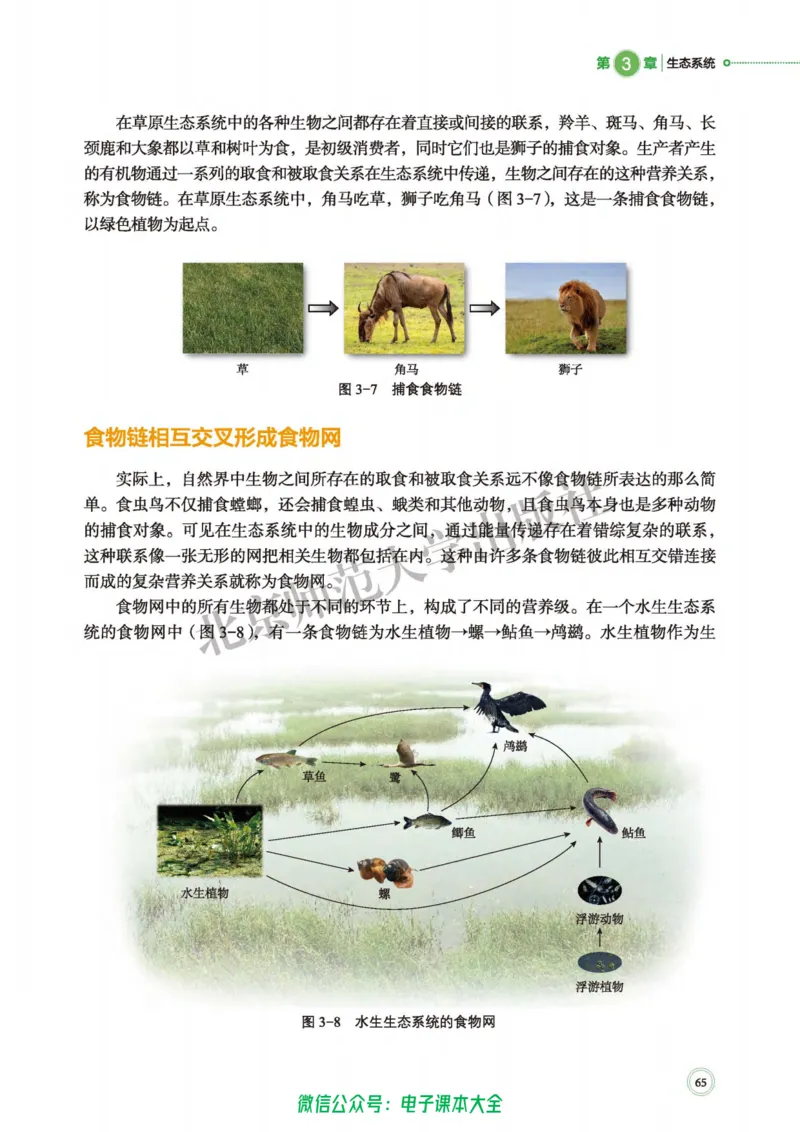 生物学选择性必修2生物与环境_高中三年全科资料_高中_高中电子教材_高中生物学_北师大