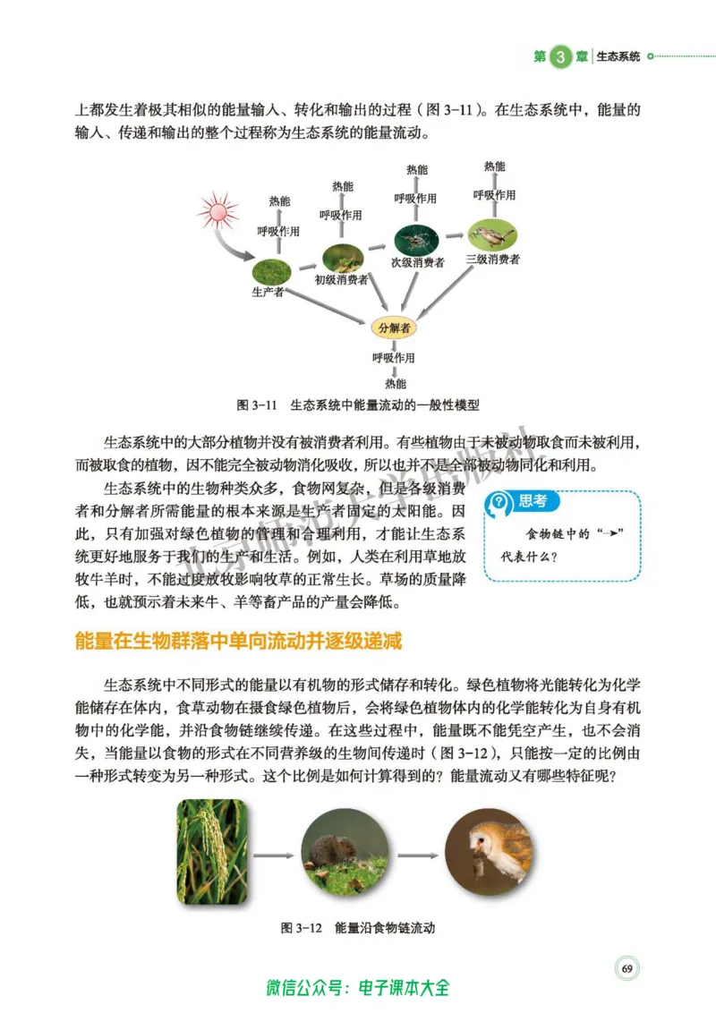 生物学选择性必修2生物与环境_高中三年全科资料_高中_高中电子教材_高中生物学_北师大