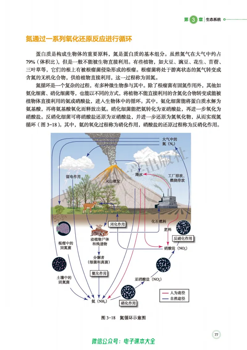 生物学选择性必修2生物与环境_高中三年全科资料_高中_高中电子教材_高中生物学_北师大
