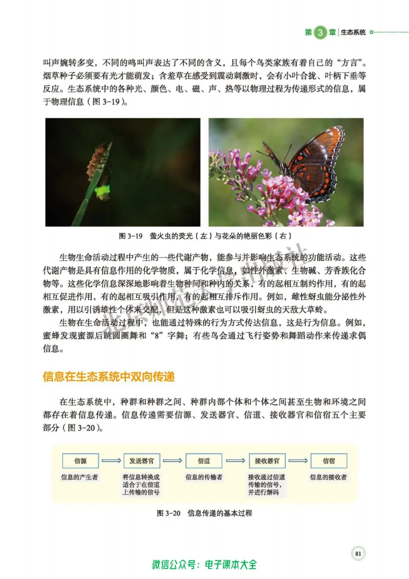 生物学选择性必修2生物与环境_高中三年全科资料_高中_高中电子教材_高中生物学_北师大