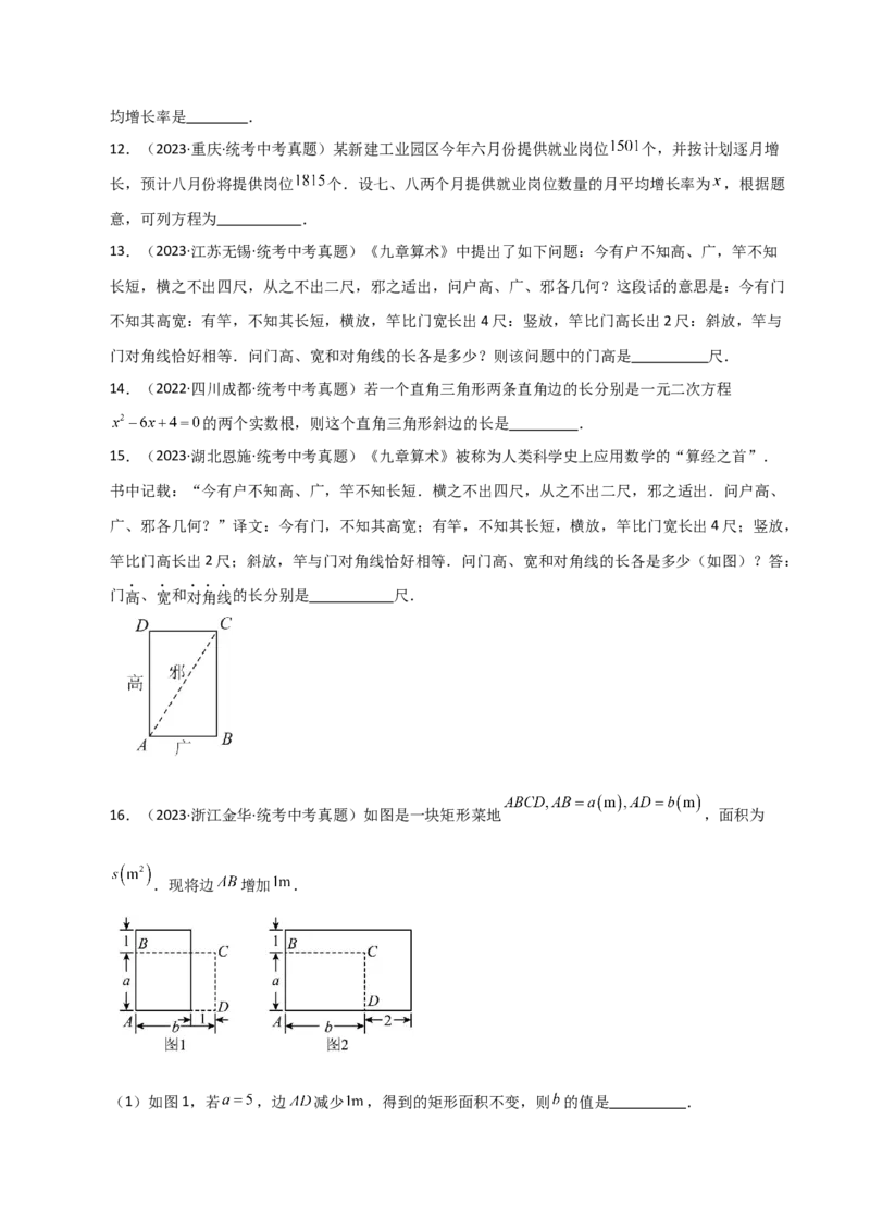 专题21.19实际问题与一元二次方程（直通中考）-（人教版）_人教版数学九年级上册_版本二_九年级数学上册（人教版）_专题突破练习-V4_2024版