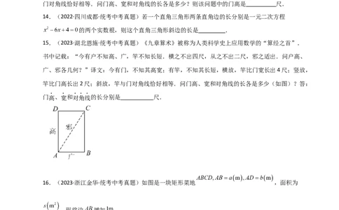 专题21.19实际问题与一元二次方程（直通中考）-（人教版）_人教版数学九年级上册_版本二_九年级数学上册（人教版）_专题突破练习-V4_2024版