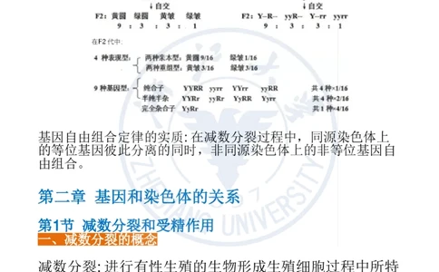 生物遗传因子的发现_高中三年全科资料_高中三年全科资料_生物