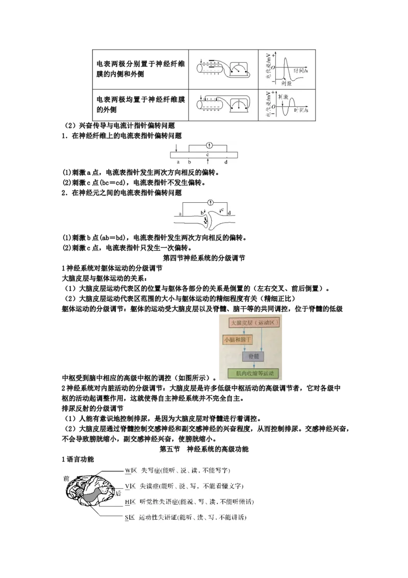 第2章神经调节期末复习知识点总结新教材人教版高中生物选择性必修一_高中三年全科资料_高中_1高中基础资料包_A-高中必背9科知识点_生物_高中生物全书知识点梳理+总结