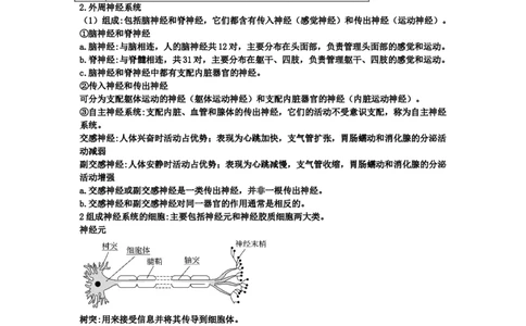 第2章神经调节期末复习知识点总结新教材人教版高中生物选择性必修一_高中三年全科资料_高中_1高中基础资料包_A-高中必背9科知识点_生物_高中生物全书知识点梳理+总结