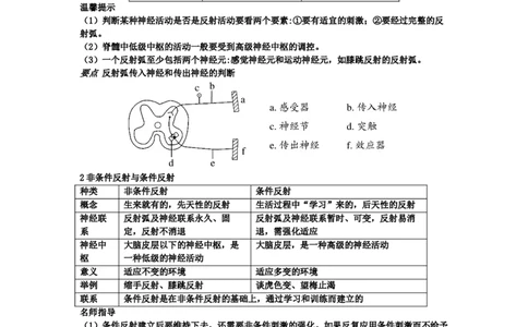 第2章神经调节期末复习知识点总结新教材人教版高中生物选择性必修一_高中三年全科资料_高中_1高中基础资料包_A-高中必背9科知识点_生物_高中生物全书知识点梳理+总结
