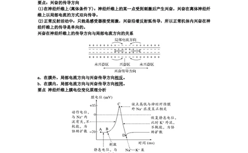 第2章神经调节期末复习知识点总结新教材人教版高中生物选择性必修一_高中三年全科资料_高中_1高中基础资料包_A-高中必背9科知识点_生物_高中生物全书知识点梳理+总结