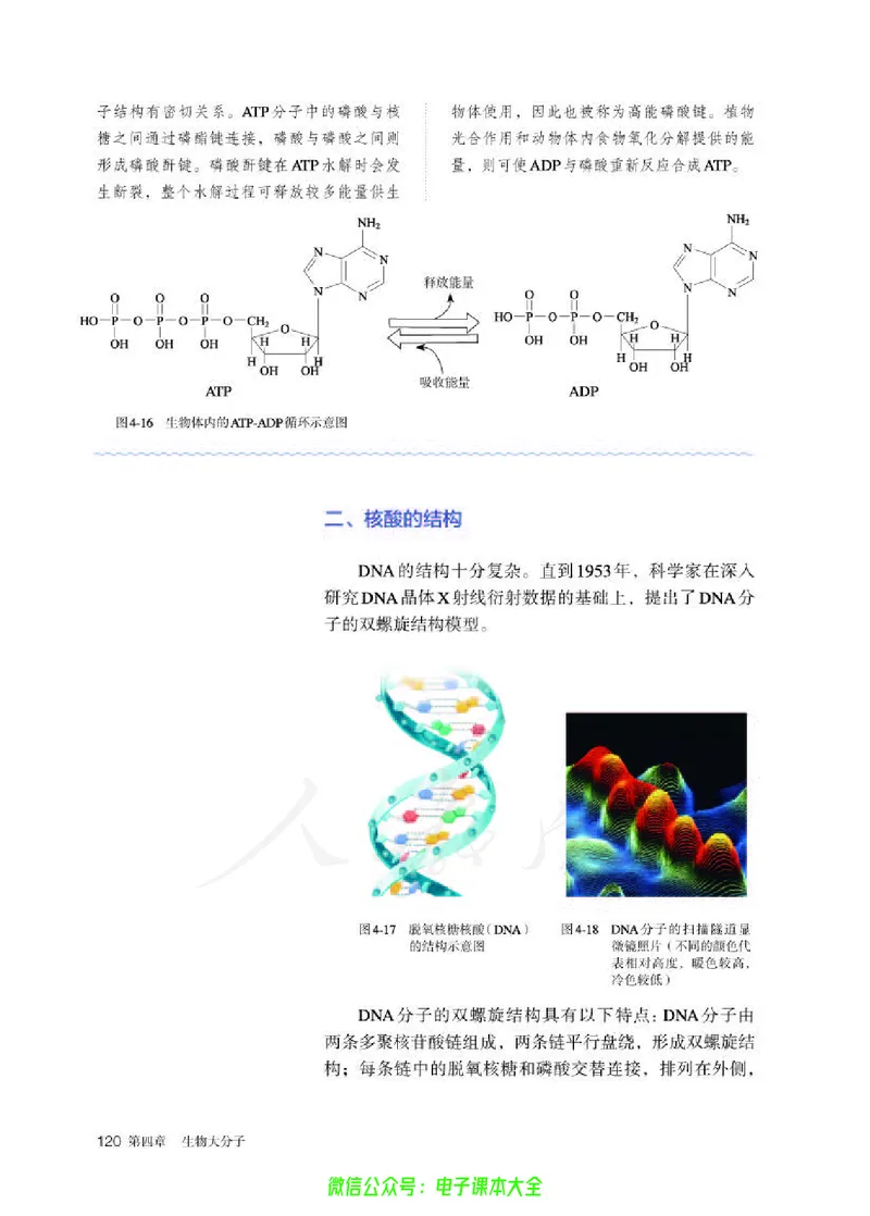 普通高中教科书化学选择性必修3有机化学基础_高中三年全科资料_高中_高中电子教材_高中化学_人教版_旧