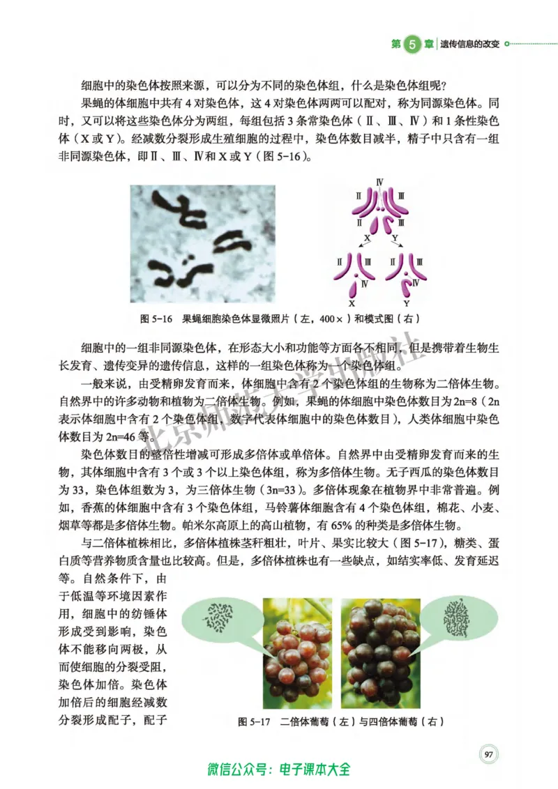 生物学必修2遗传与进化_高中三年全科资料_高中_高中电子教材_高中生物学_北师大