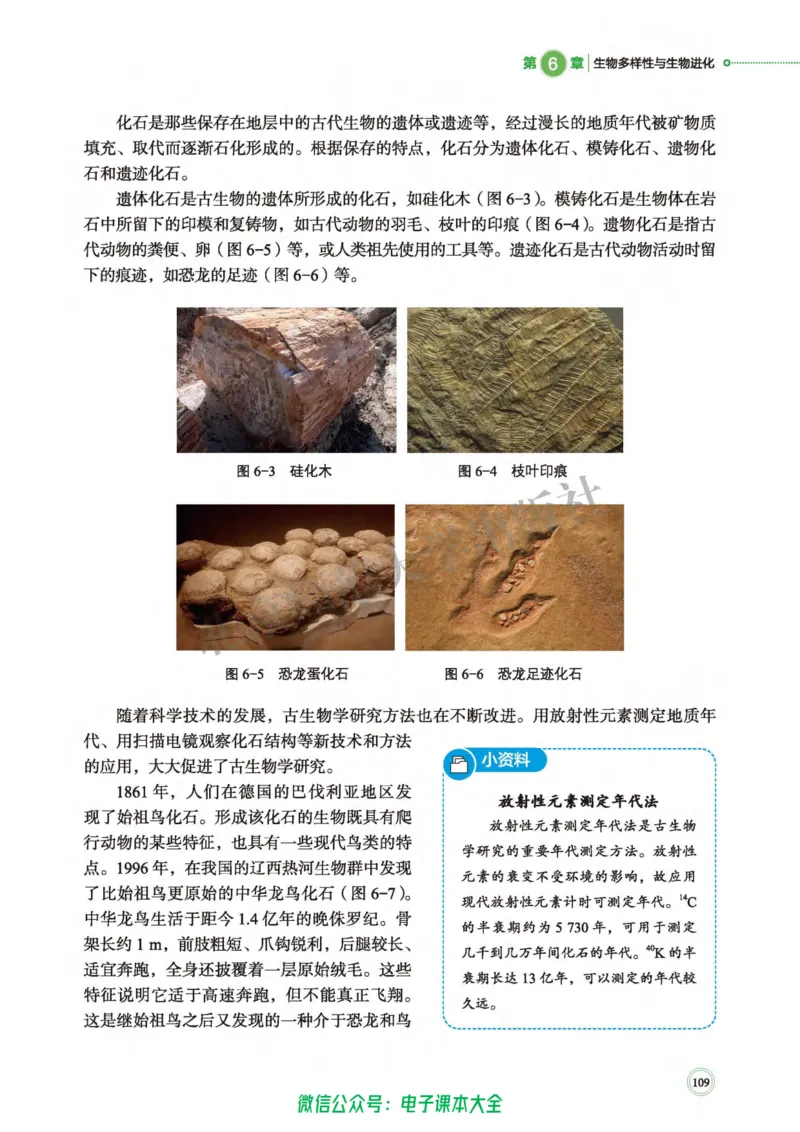 生物学必修2遗传与进化_高中三年全科资料_高中_高中电子教材_高中生物学_北师大