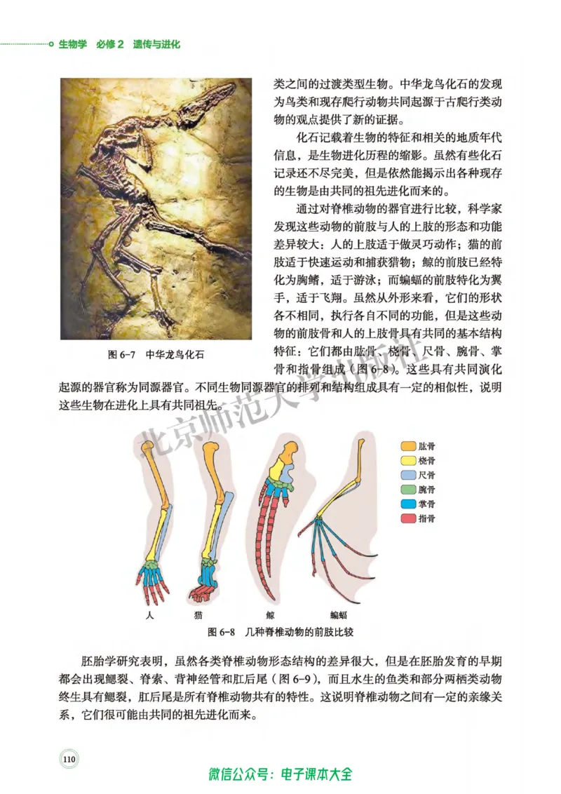 生物学必修2遗传与进化_高中三年全科资料_高中_高中电子教材_高中生物学_北师大