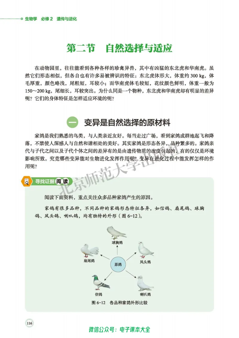 生物学必修2遗传与进化_高中三年全科资料_高中_高中电子教材_高中生物学_北师大