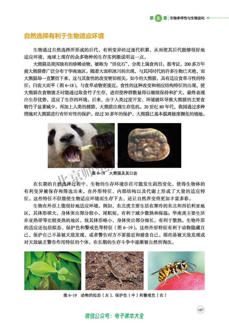 生物学必修2遗传与进化_高中三年全科资料_高中_高中电子教材_高中生物学_北师大
