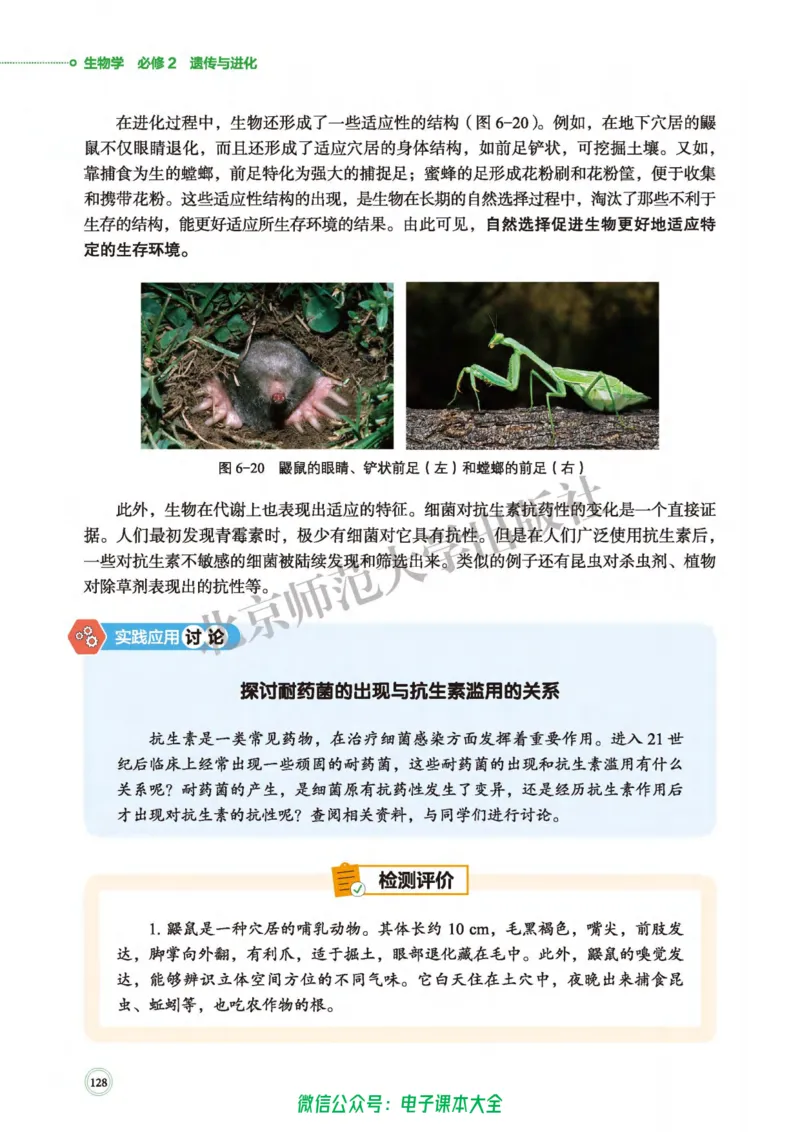 生物学必修2遗传与进化_高中三年全科资料_高中_高中电子教材_高中生物学_北师大