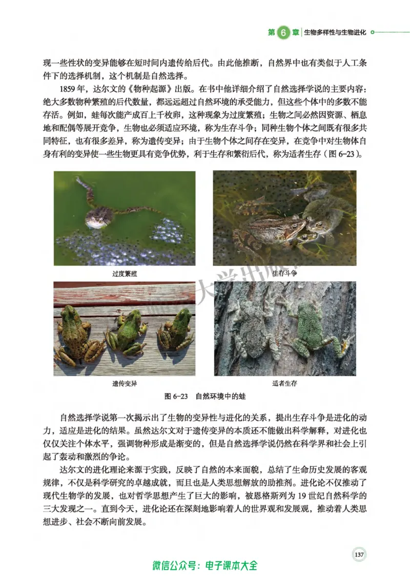 生物学必修2遗传与进化_高中三年全科资料_高中_高中电子教材_高中生物学_北师大