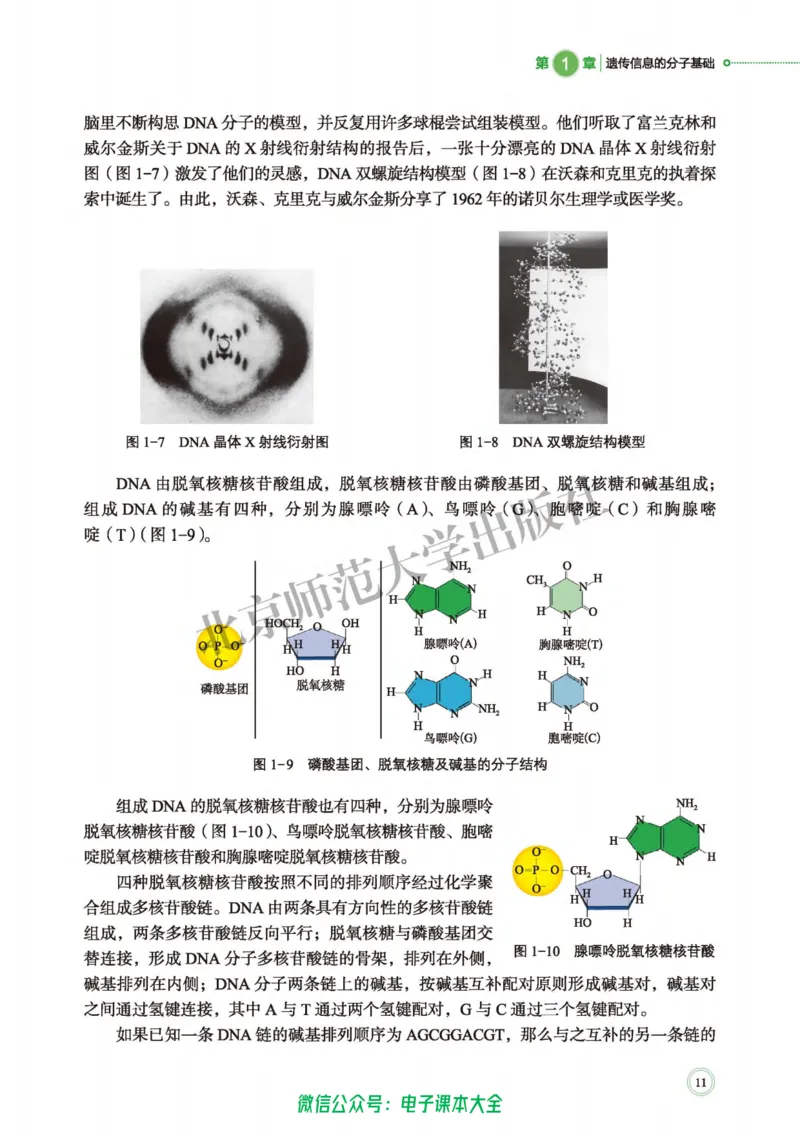 生物学必修2遗传与进化_高中三年全科资料_高中_高中电子教材_高中生物学_北师大
