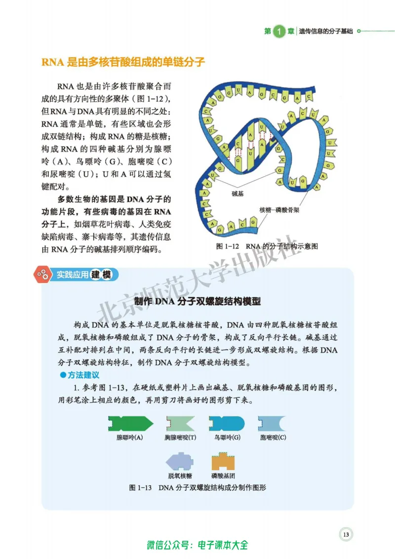 生物学必修2遗传与进化_高中三年全科资料_高中_高中电子教材_高中生物学_北师大
