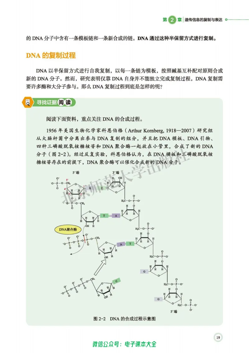 生物学必修2遗传与进化_高中三年全科资料_高中_高中电子教材_高中生物学_北师大