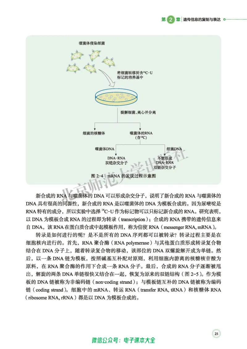 生物学必修2遗传与进化_高中三年全科资料_高中_高中电子教材_高中生物学_北师大