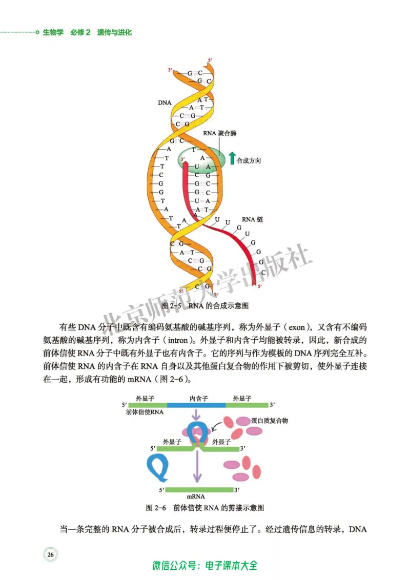 生物学必修2遗传与进化_高中三年全科资料_高中_高中电子教材_高中生物学_北师大