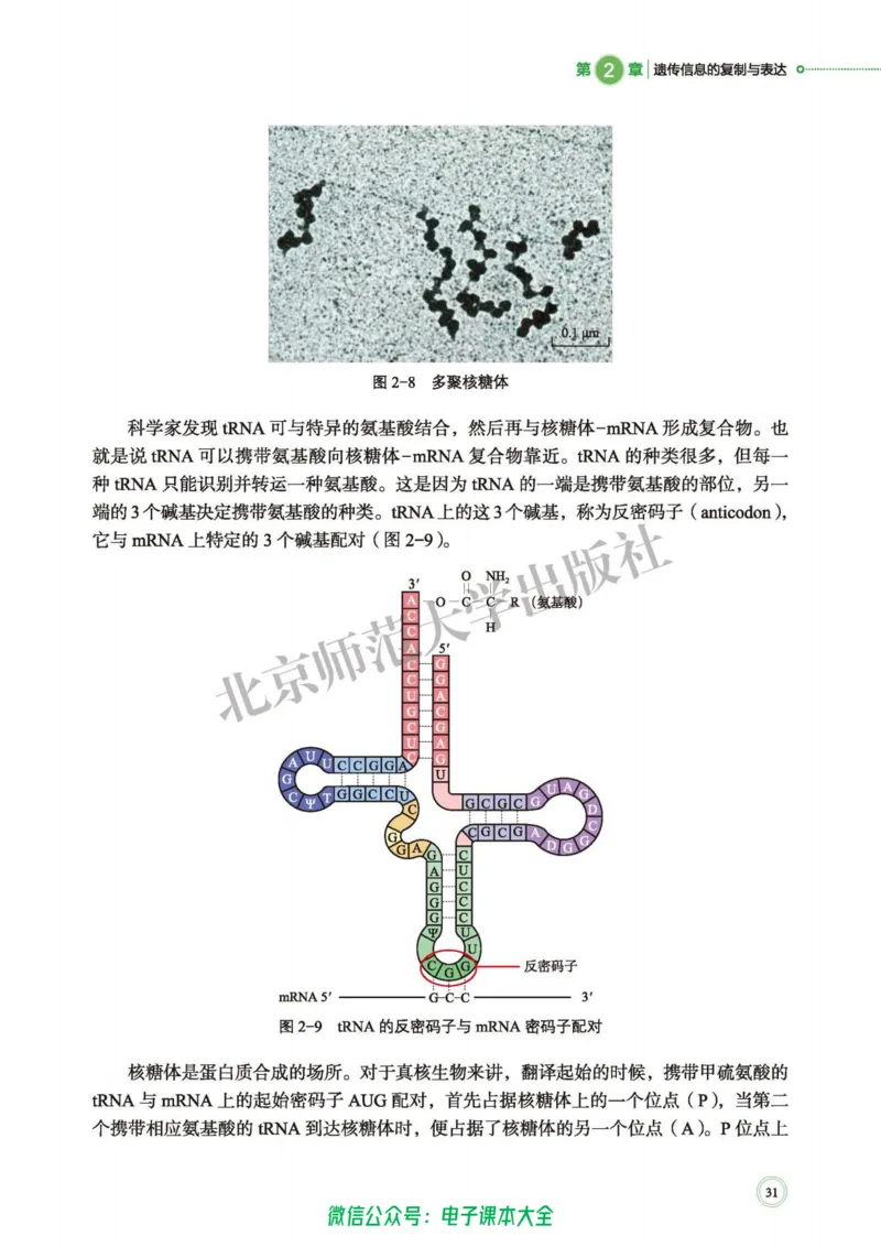 生物学必修2遗传与进化_高中三年全科资料_高中_高中电子教材_高中生物学_北师大