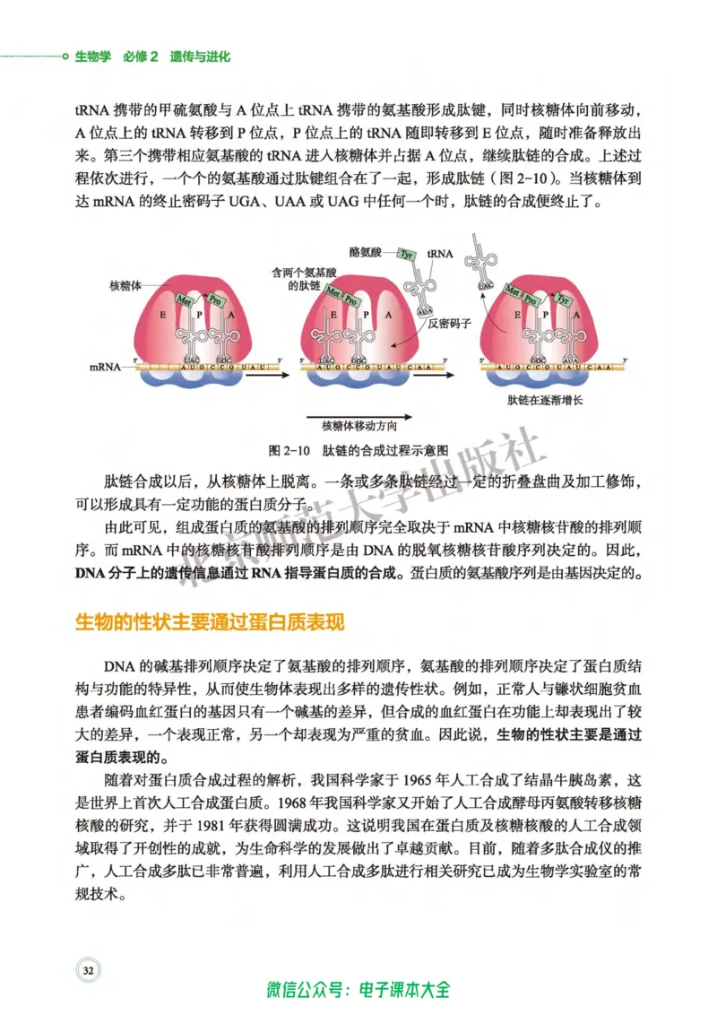 生物学必修2遗传与进化_高中三年全科资料_高中_高中电子教材_高中生物学_北师大