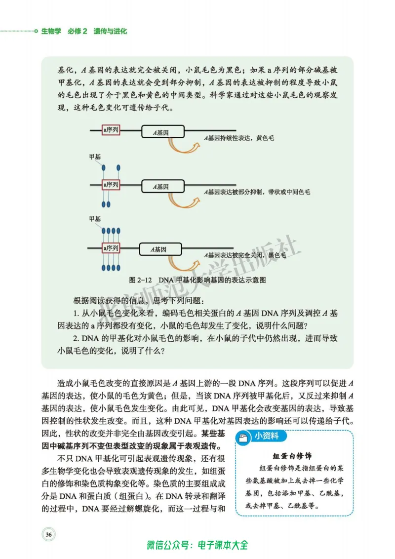 生物学必修2遗传与进化_高中三年全科资料_高中_高中电子教材_高中生物学_北师大