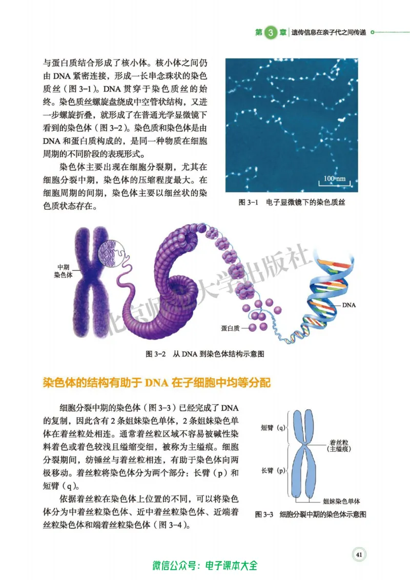 生物学必修2遗传与进化_高中三年全科资料_高中_高中电子教材_高中生物学_北师大