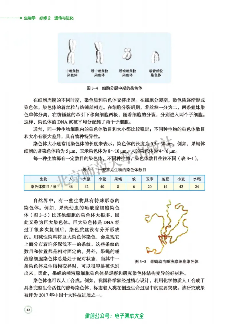 生物学必修2遗传与进化_高中三年全科资料_高中_高中电子教材_高中生物学_北师大
