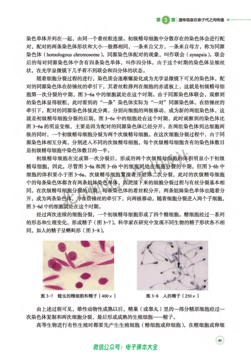 生物学必修2遗传与进化_高中三年全科资料_高中_高中电子教材_高中生物学_北师大