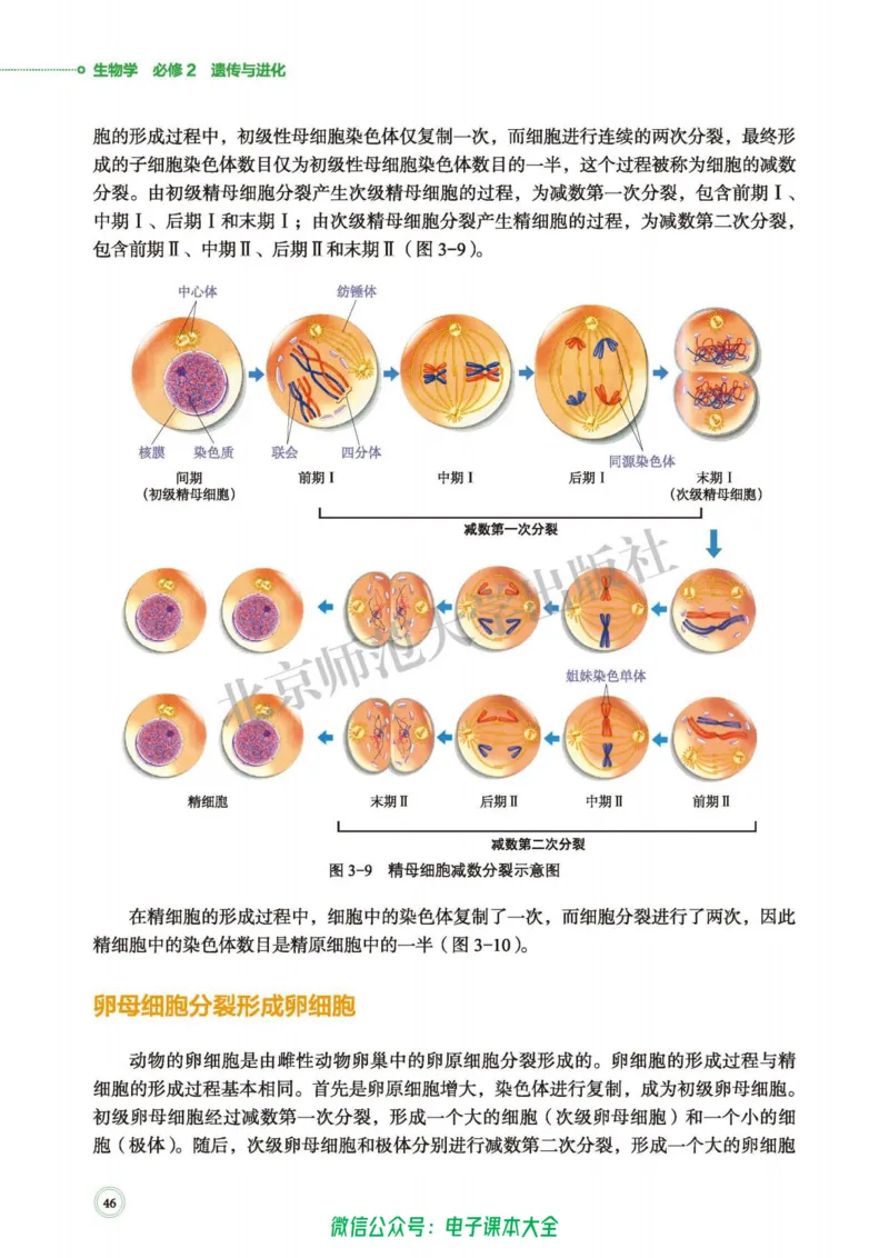 生物学必修2遗传与进化_高中三年全科资料_高中_高中电子教材_高中生物学_北师大