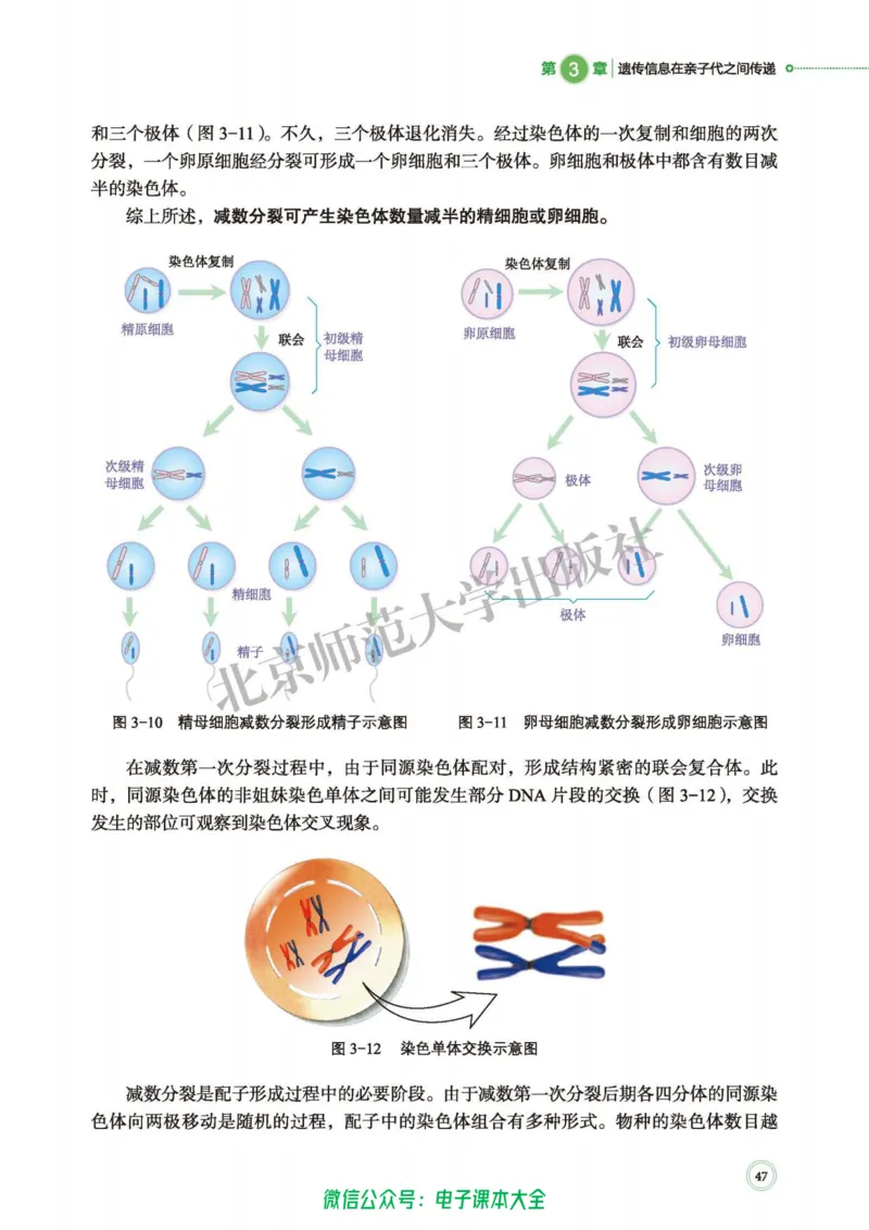 生物学必修2遗传与进化_高中三年全科资料_高中_高中电子教材_高中生物学_北师大